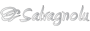 salvagnolu.png