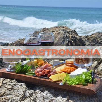 Enogastronomia in Sardegna Enogastronomia in Sardegna