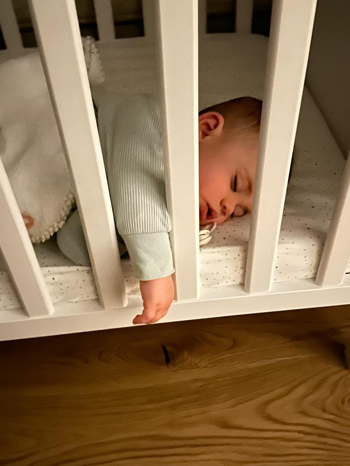 lettino addormentamento sereno lettino addormentamento sereno