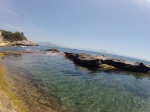 598985_307946279300039_145090213_n