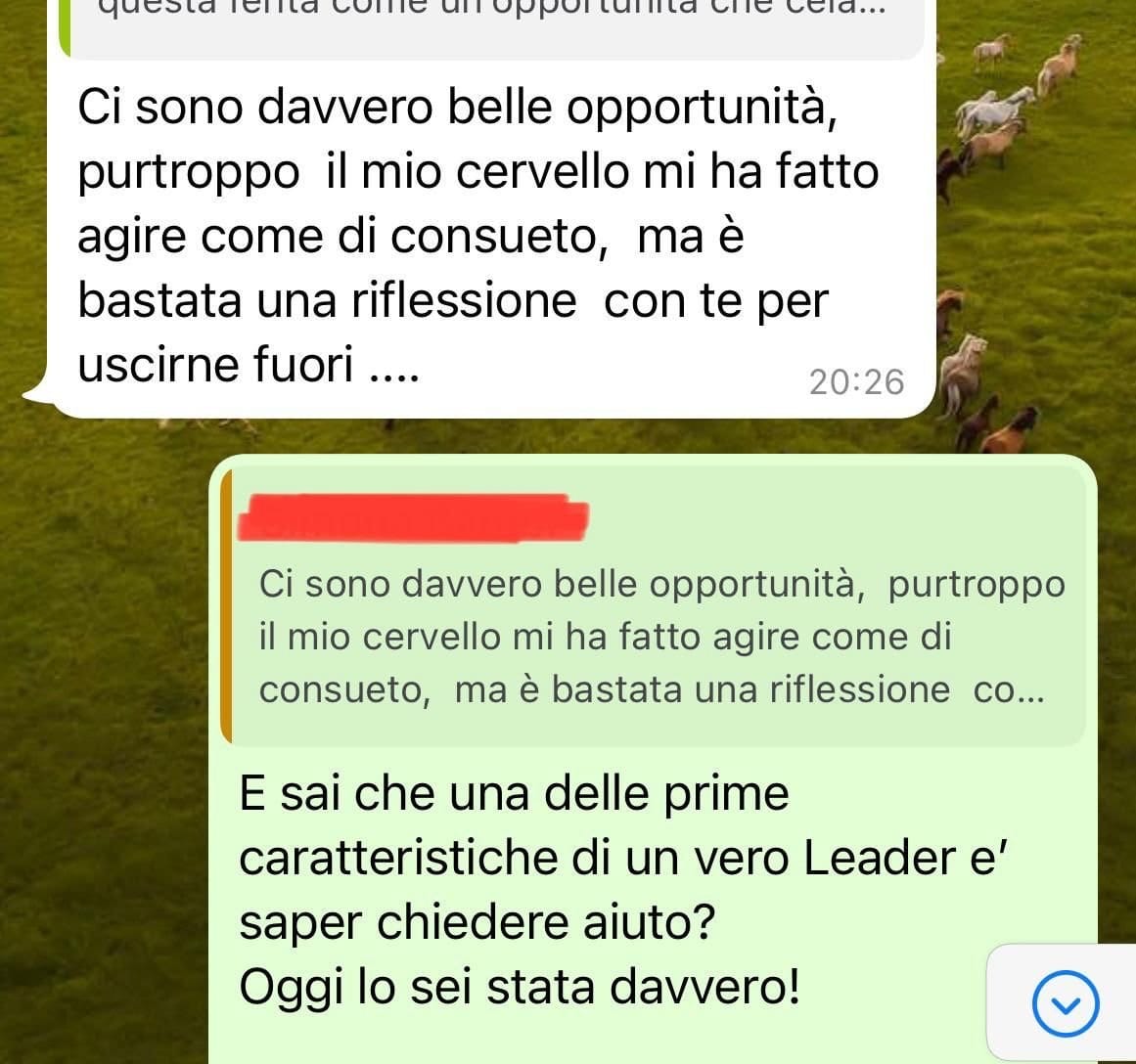 nwok7j0aaxfa26jhqossbqwalufulbyzapu5ryma.jpg
