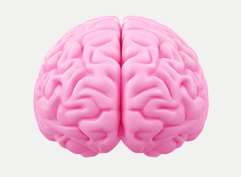 Audit_Call_Silvia_System_Strategist