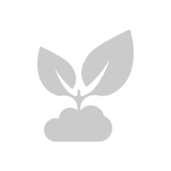 Materiali eco-friendly