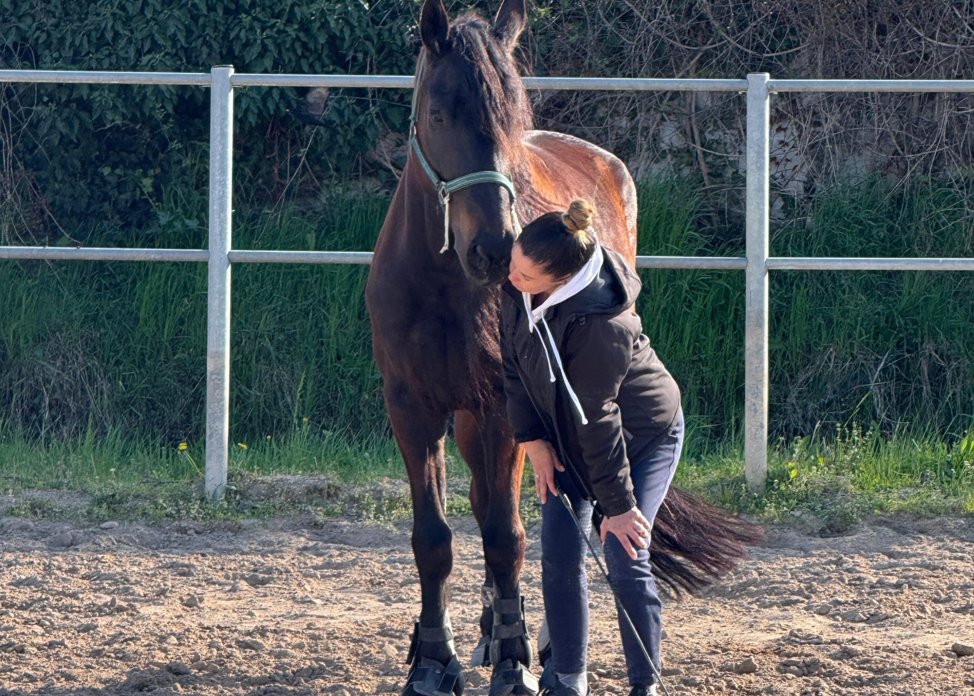 bg-equiorainsieme.jpg