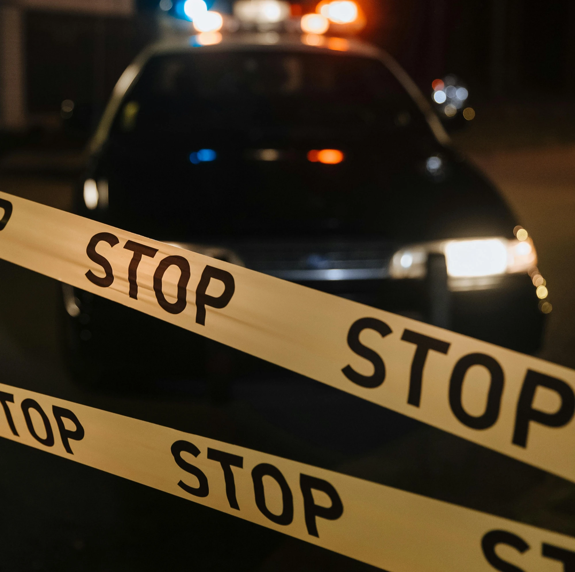 Immagine modulisitica