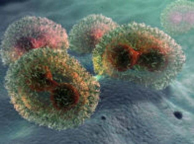 Il virus del vaiolo va eliminato? Il virus del vaiolo va eliminato?