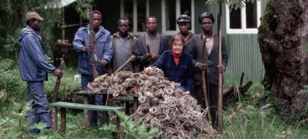 Dian Fossey e i suoi gorilla nel Doodle di Google Dian Fossey e i suoi gorilla nel Doodle di Google