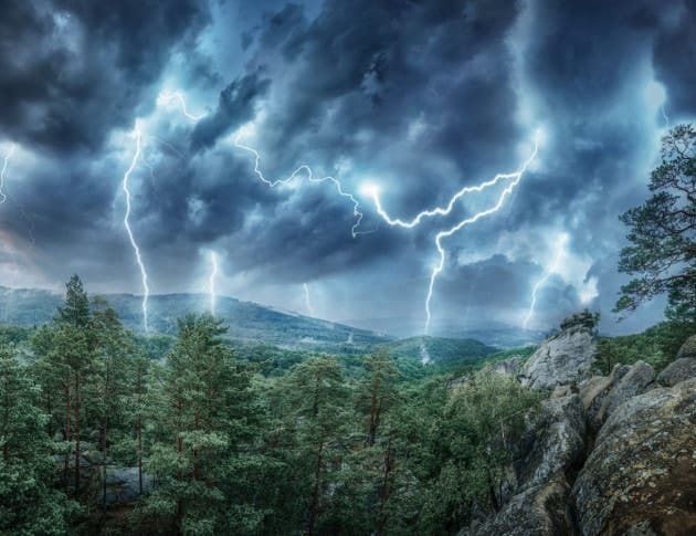 Fulmini-Foresta Fulmini-Foresta