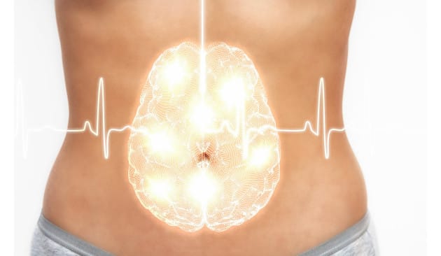 Mnesys intestino L’equilibrio passa dall’intestino