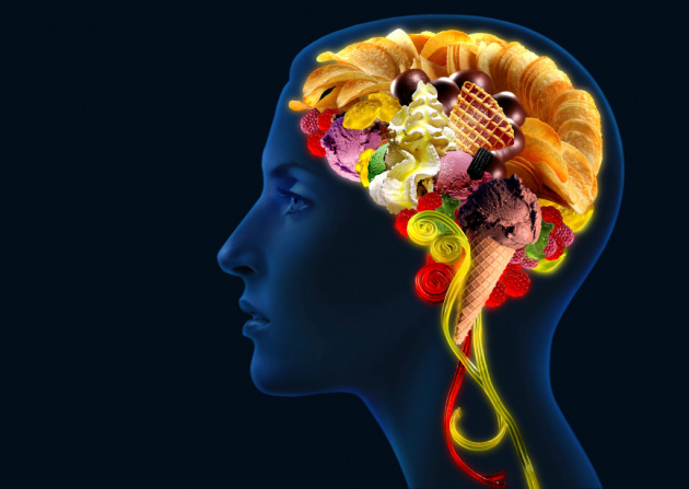 L'ormone cerebrale che fa bruciare grasso L'ormone cerebrale che fa bruciare grasso