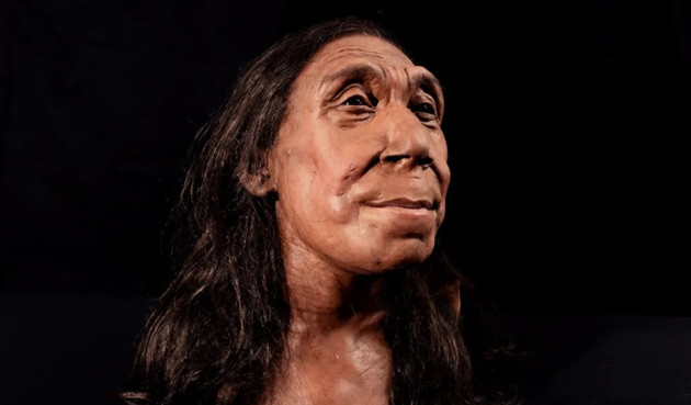 Donna - Neanderthal Donna - Neanderthal