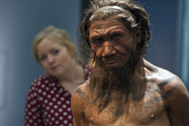 Neanderthal Sapiens e Neanderthal si incrociarono in modo continuativo per circa 7.000 anni