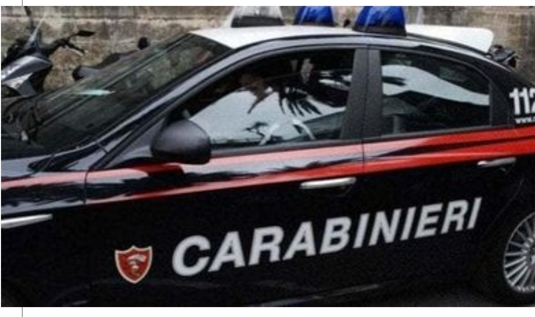 Operazione “Rinascita Sarno” - nuova campagna di controlli dei CC Forestali Screenshot_2023-11-21-18-58-56-495_it.pinenuts.rassegnastampa-edit.jpg