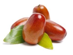 Olio di Jojoba