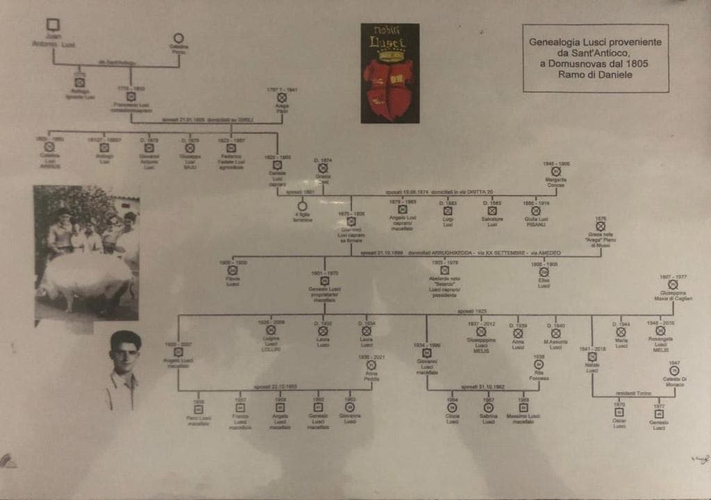 Geneaologia Lusci Geneaologia Lusci