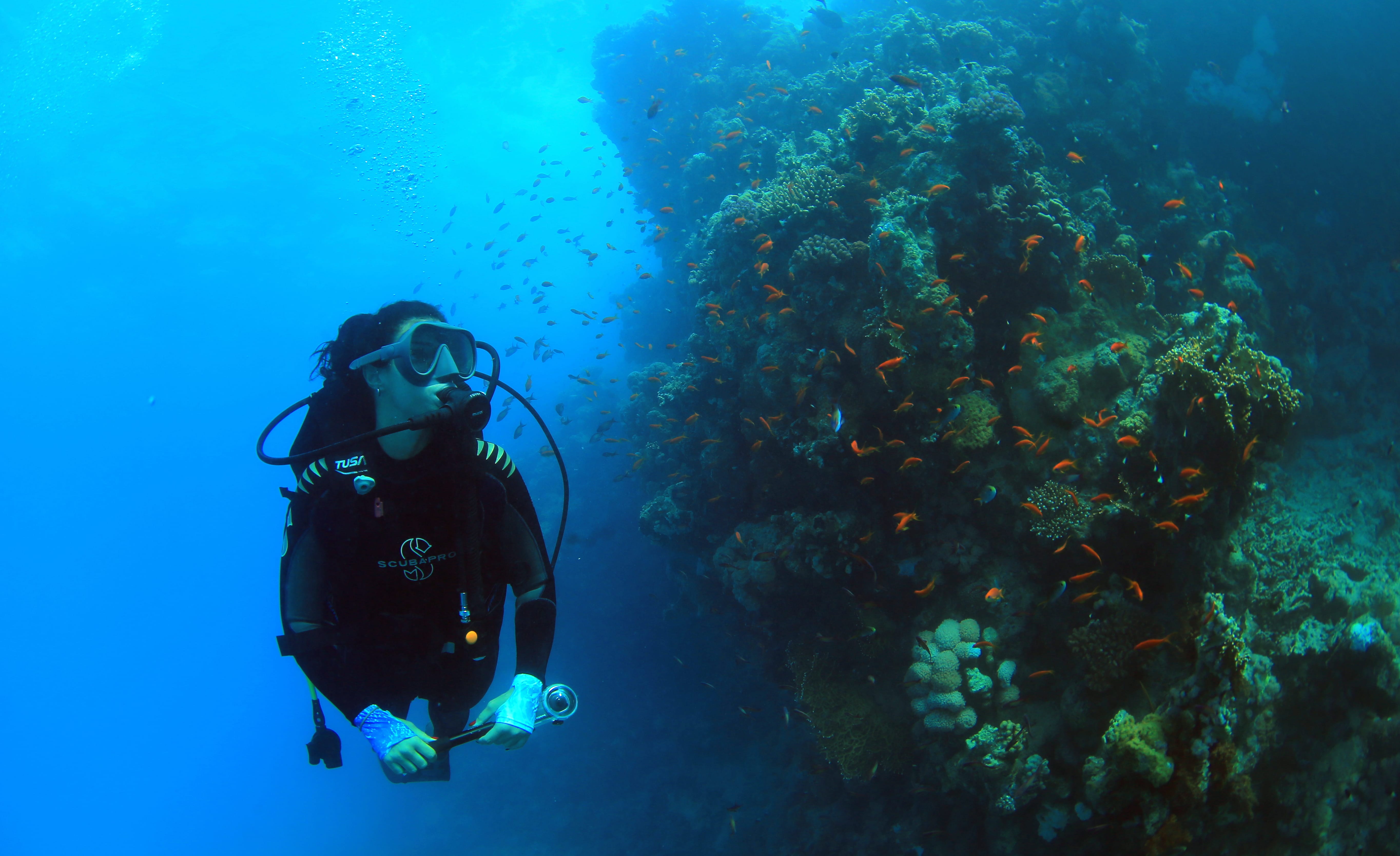 ne8a0490.jpg