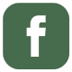 icona facebook