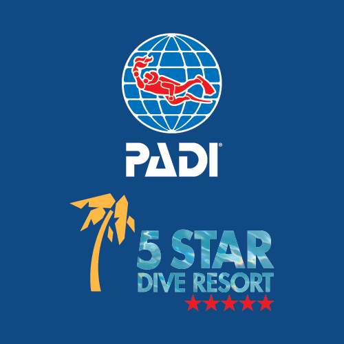 Five Star Diving