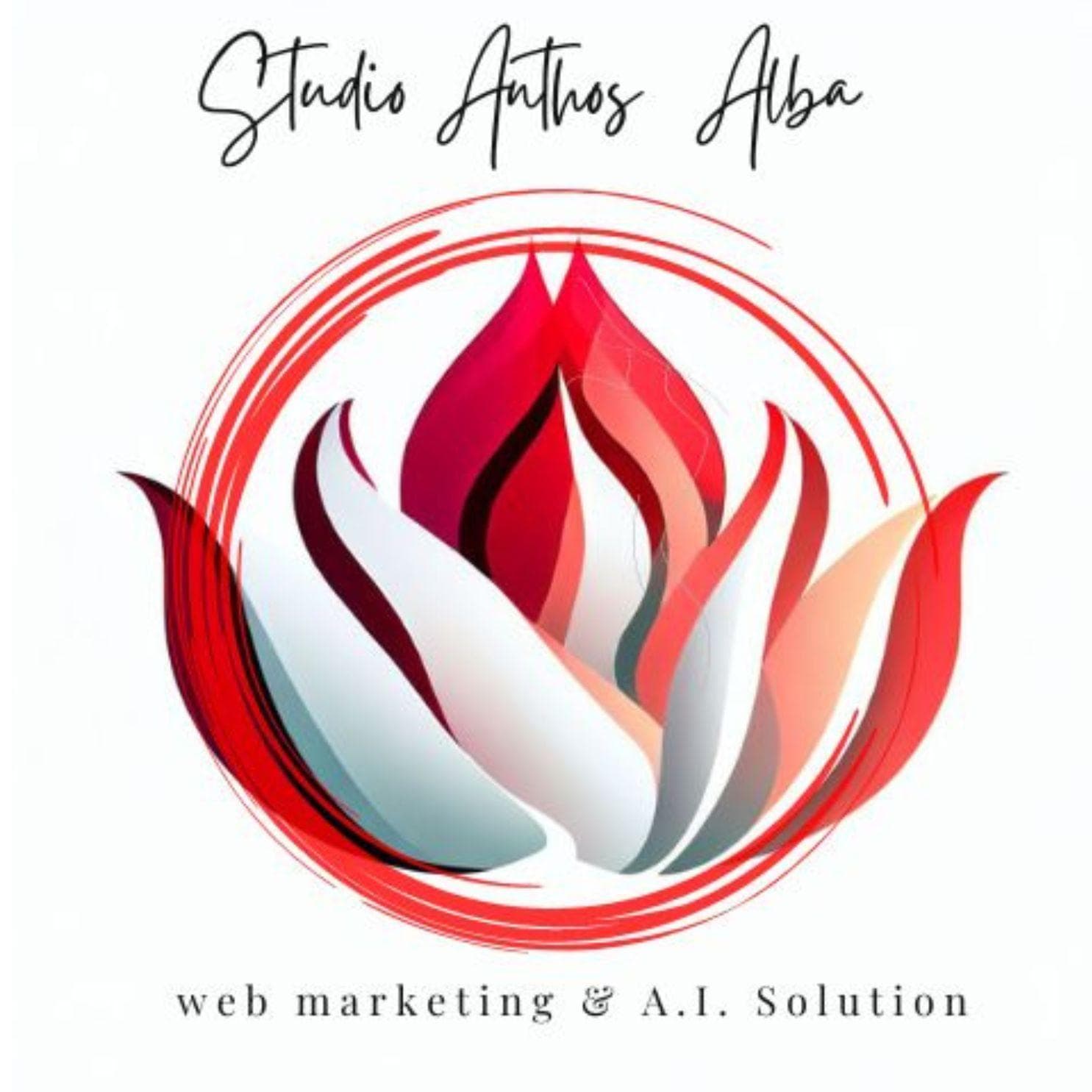 studio anthos alba studio anthos alba