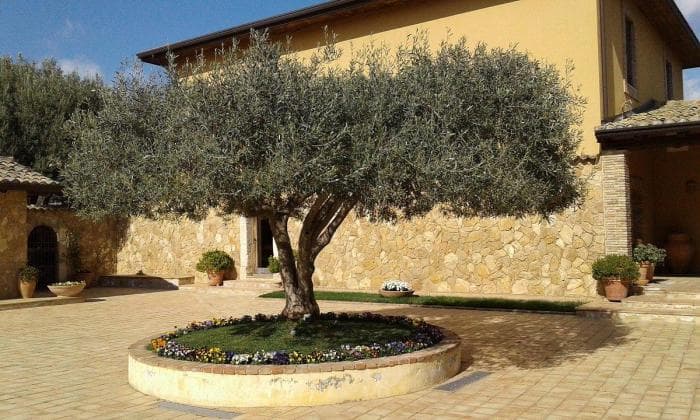 agriturismo-borgo-antico-6.jpeg