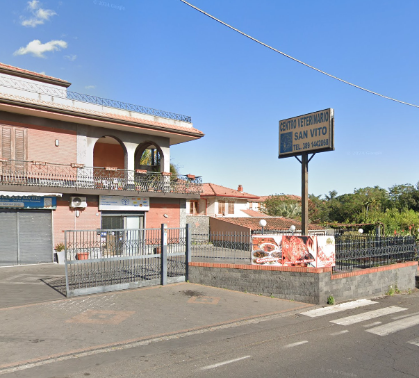 centro-veterinario-san-vito-mascalucia.png