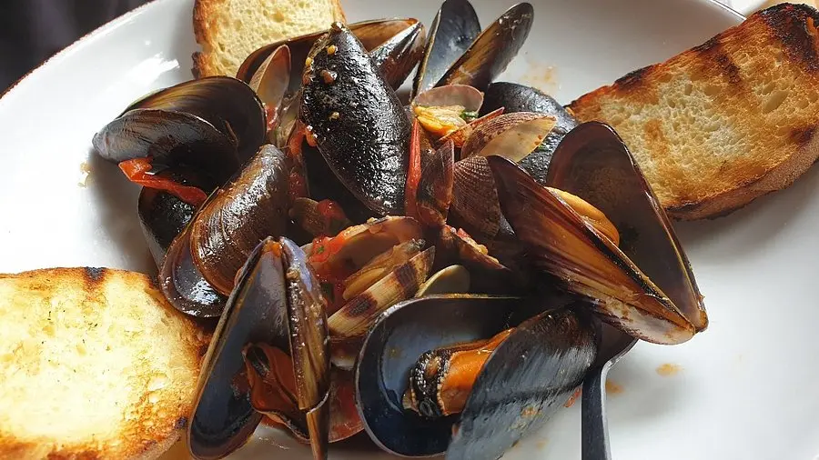 impepata-di-cozze-anti-pasti-ristorante-osteria-antica-marina-catania.webp