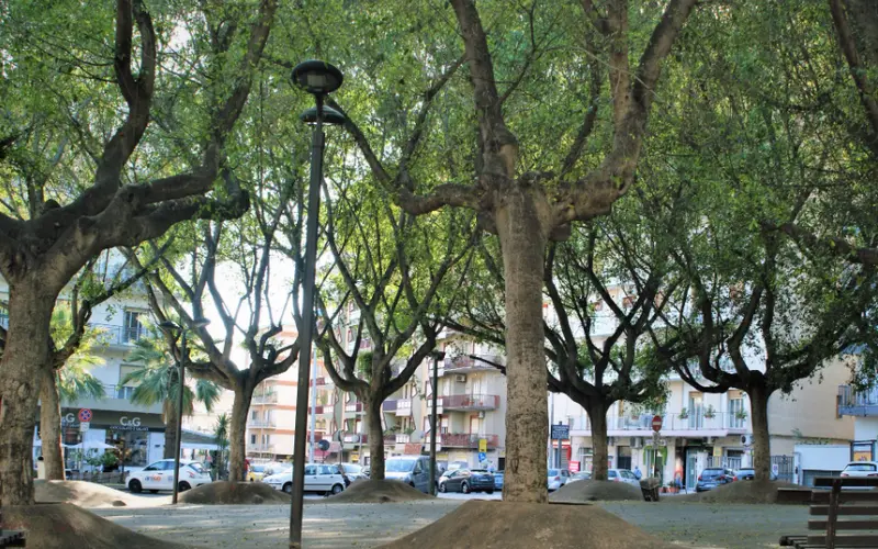 Piazza Abramo Lincoln Catania