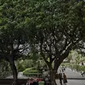 villa-bellini.webp villa-bellini.webp