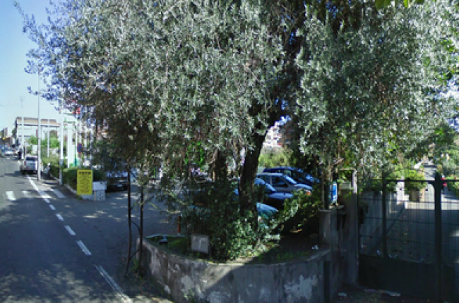 CONGREGAZIONE DOMENICANE CATANIA