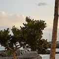 Ristorante Cutilisci