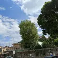 parrocchia-m-ausiliatrice-e-s-d-savio-catania_copertina_avatar.webp