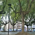 Piazza Abramo Lincoln Catania