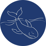 Corsi e Percorsi Corsi e Percorsi