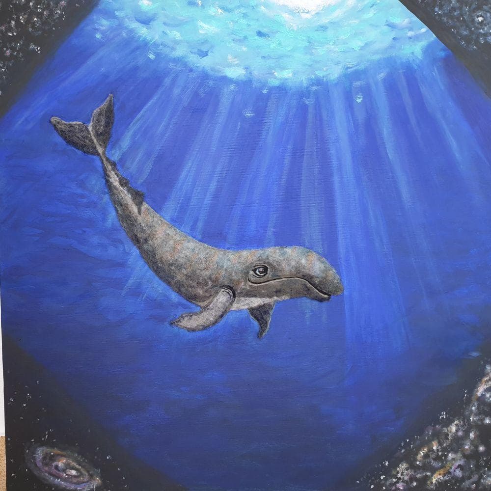 poesia della balena poesia della balena