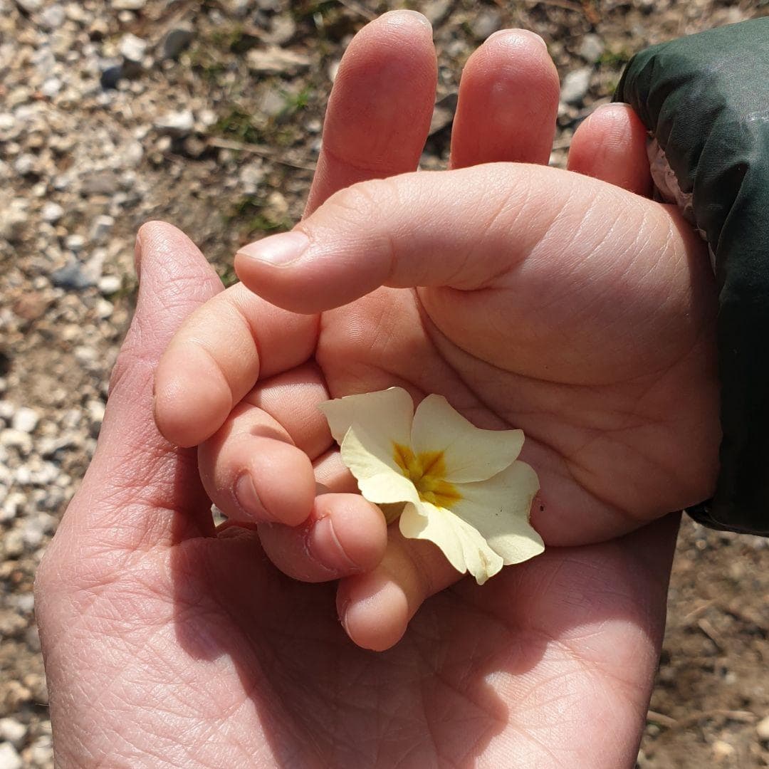 Mano nella mano mobile Mano nella mano mobile