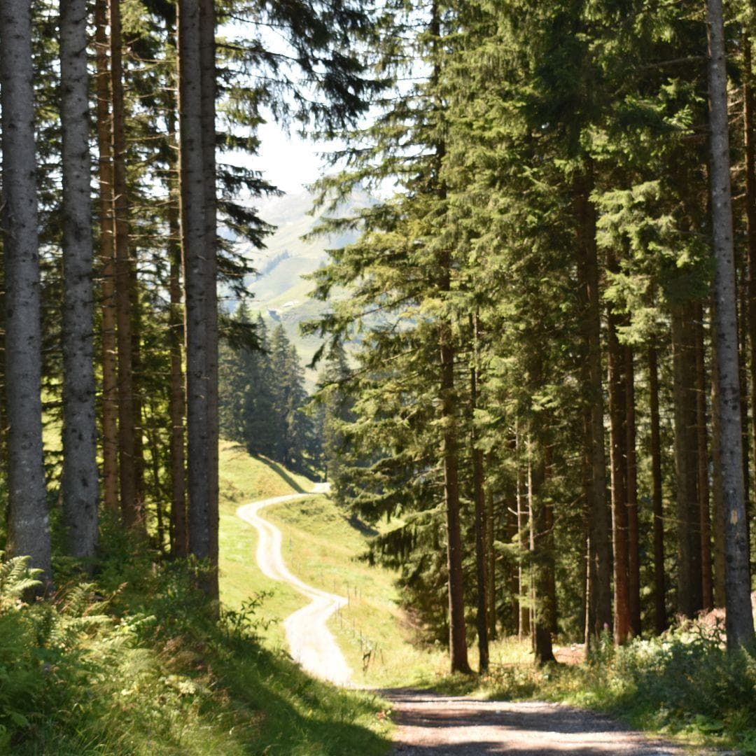 Strada di Montagna Mobile Strada di Montagna Mobile