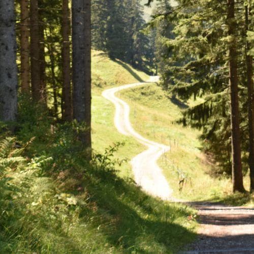 Percorsi e Corsi Percorsi e Corsi