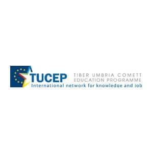 mirko-tardocchi-digital-expert-clickacademy-agenzia-partner-tucep.jpg