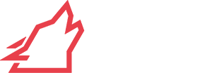 Triathlon Coach | Running Coach | Lupo Academy