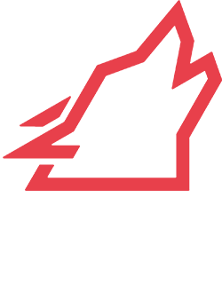 Triathlon Coach | Running Coach | Lupo Academy Triathlon Coach | Running Coach | Lupo Academy