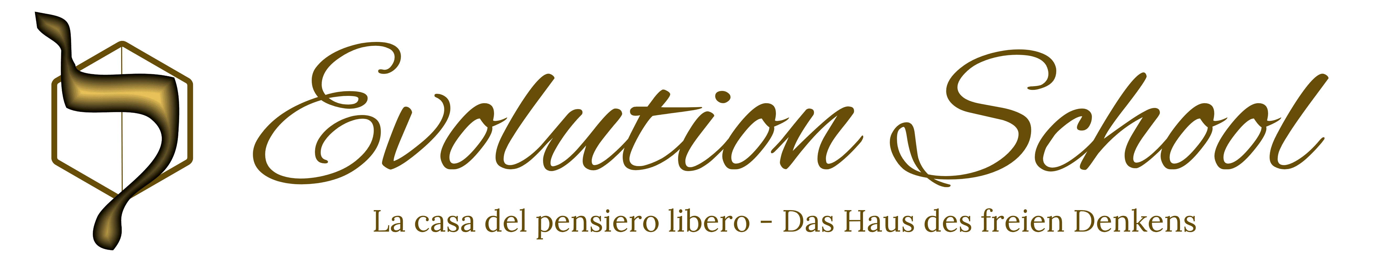 Evolution School