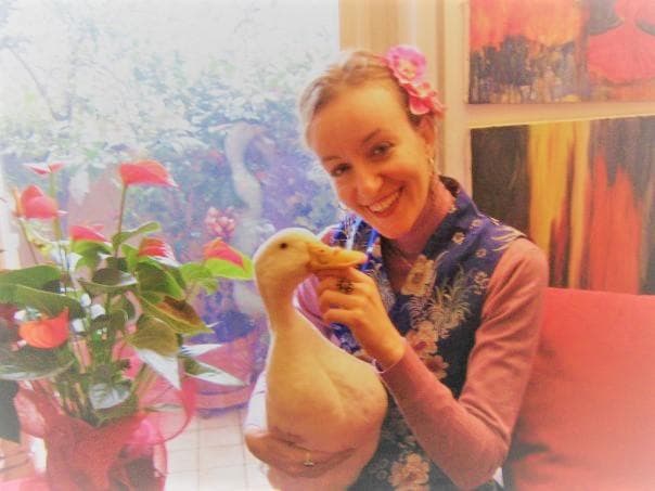 Come la scelta Vegan Consapevole mi ha portata ad avere Mestruazioni Felici Come la scelta Vegan Consapevole mi ha portata ad avere Mestruazioni Felici