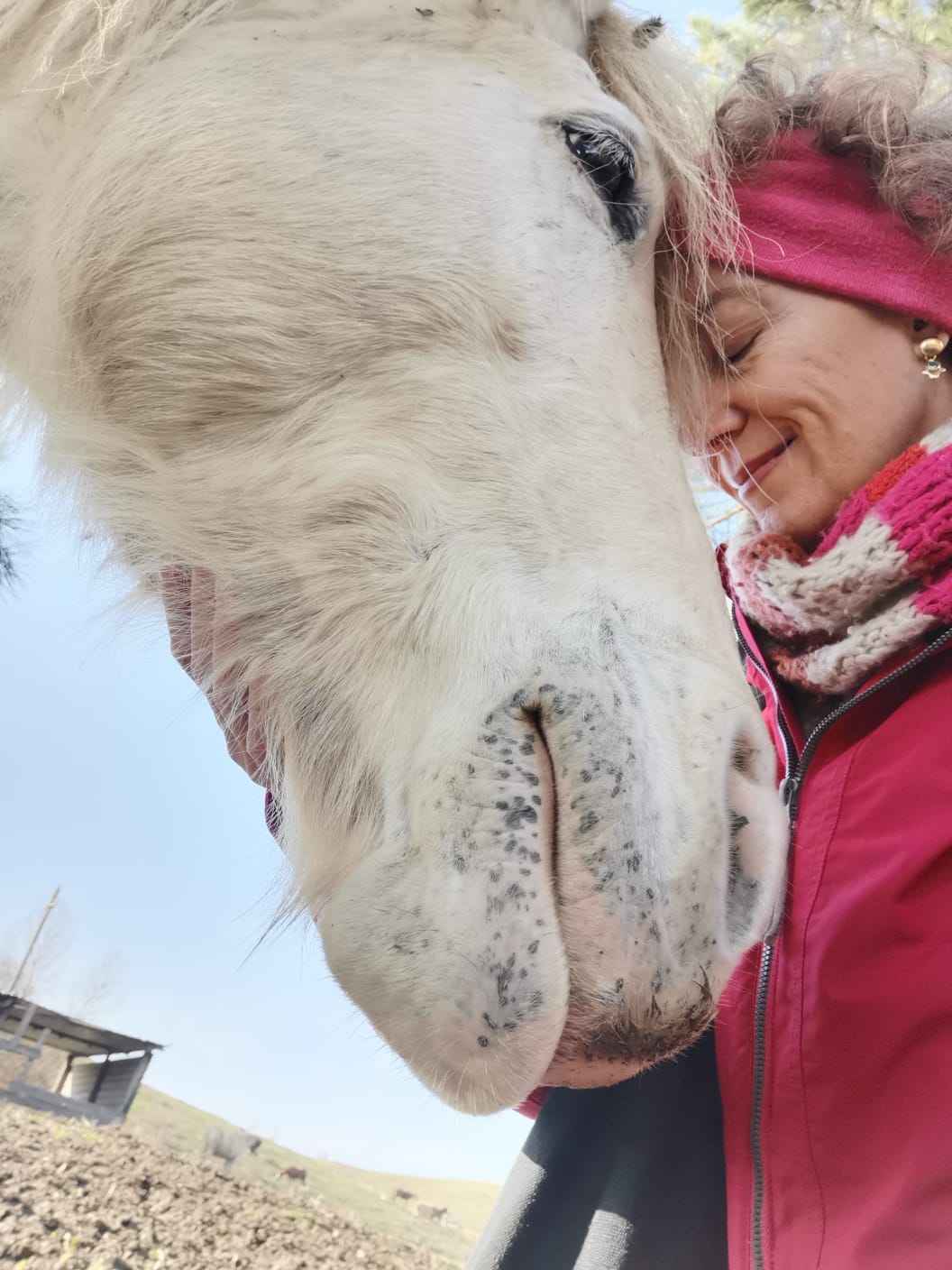 Quando l’Amore diventa una via. Il mio cammino di ri-evoluzione interiore vegan e guarigione interspecie Quando l’Amore diventa una via. Il mio cammino di ri-evoluzione interiore vegan e guarigione interspecie