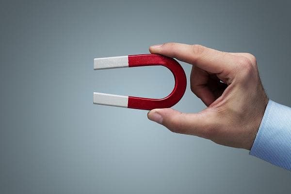 lead magnet lead magnet