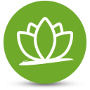 Ingegneria Olistica Ingegneria Olistica