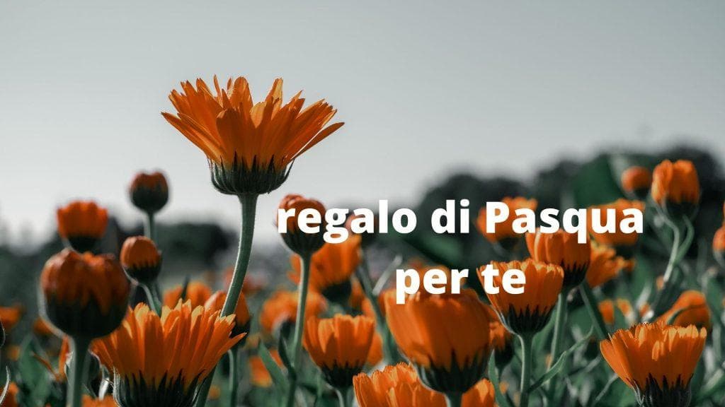 regalo di Pasqua per te