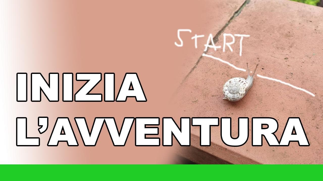 Inizia l'avventura Inizia l'avventura