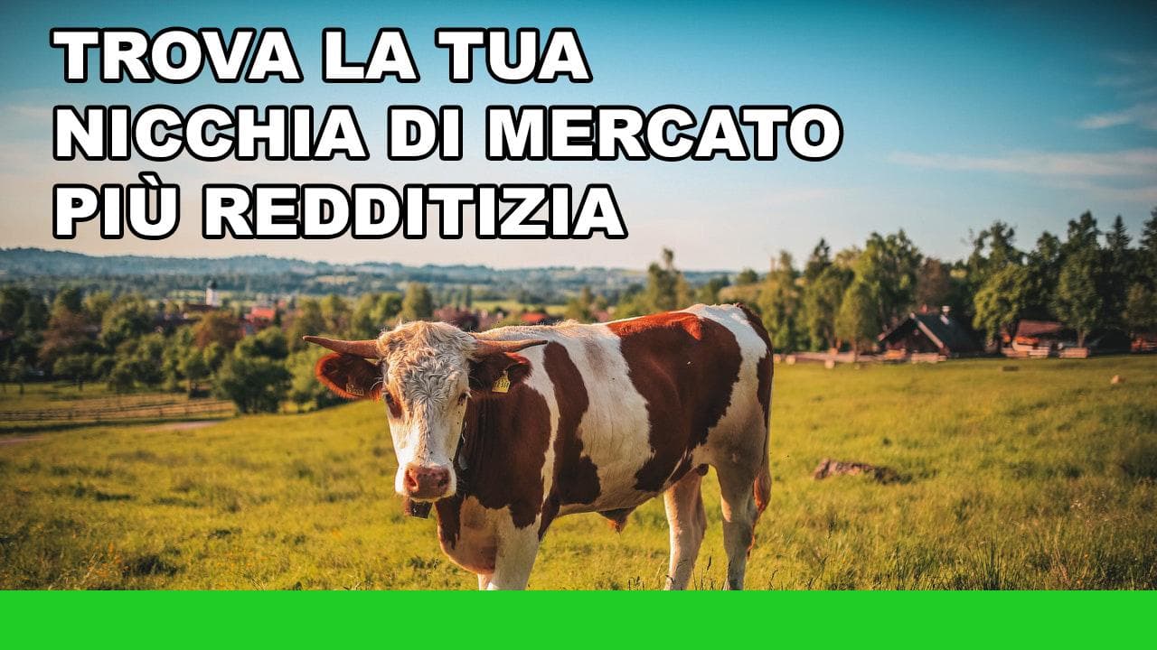 Trova la tua nicchia di mercato più redditizia Trova la tua nicchia di mercato più redditizia