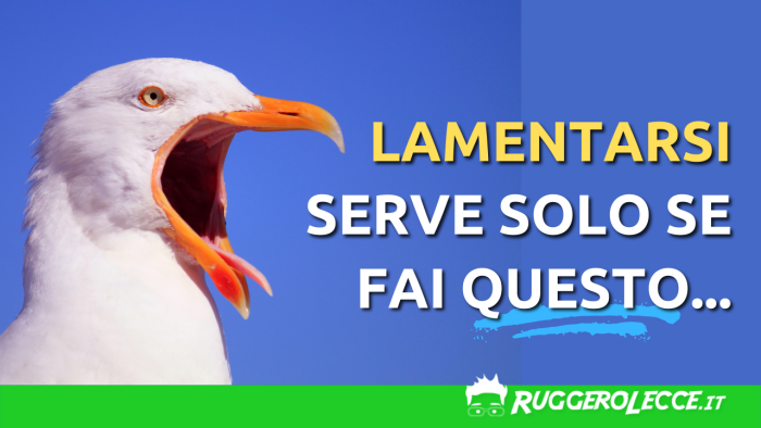 Come smettere di lamentarsi come un gabbiano? Prova a fare queste cose... Come smettere di lamentarsi come un gabbiano? Prova a fare queste cose...