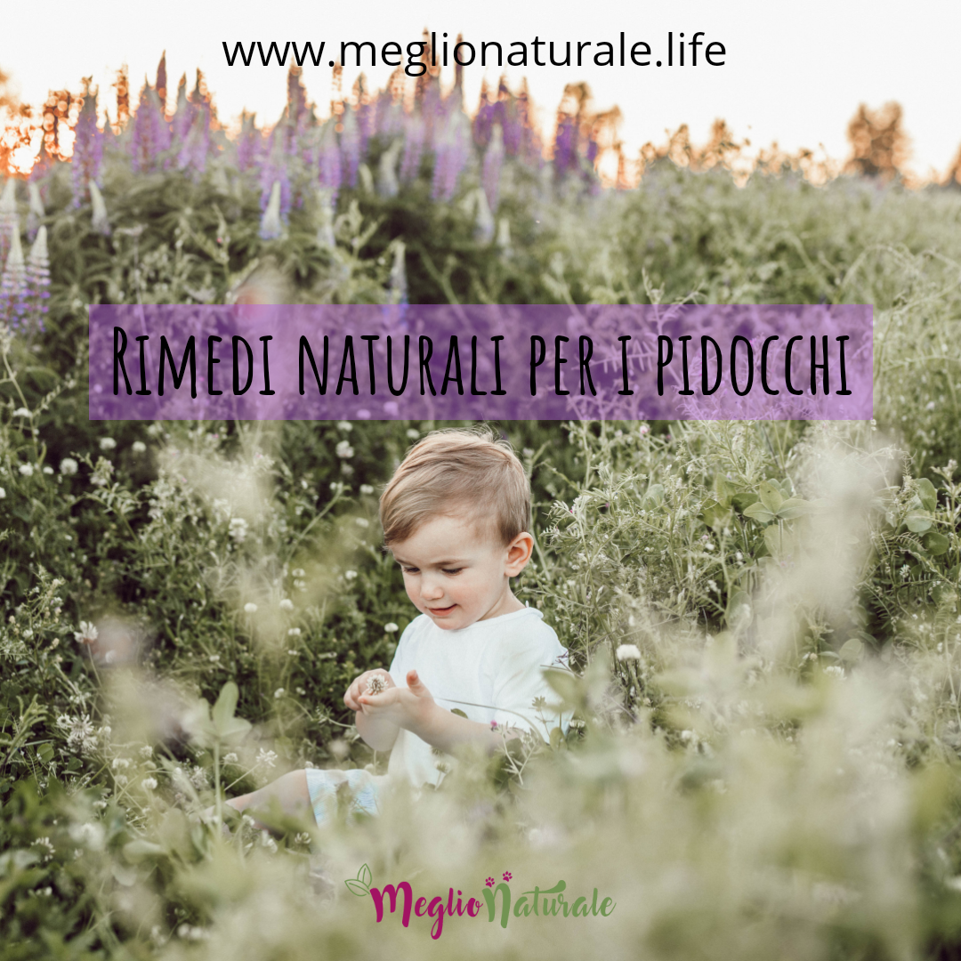 Rimedi naturali per i pidocchi nei bambini: quali quelli davvero efficaci? Rimedi naturali per i pidocchi nei bambini: quali quelli davvero efficaci?